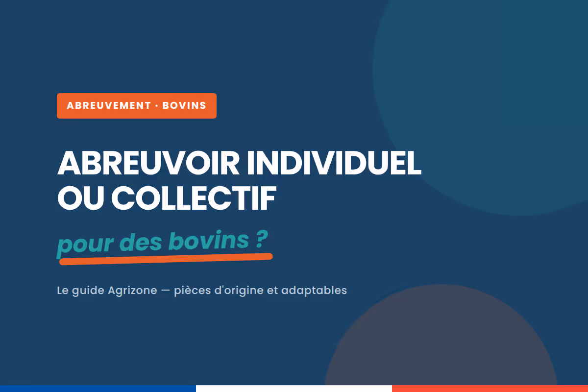 Abreuvoir individuel ou collectif : lequel choisir pour des bovins ?