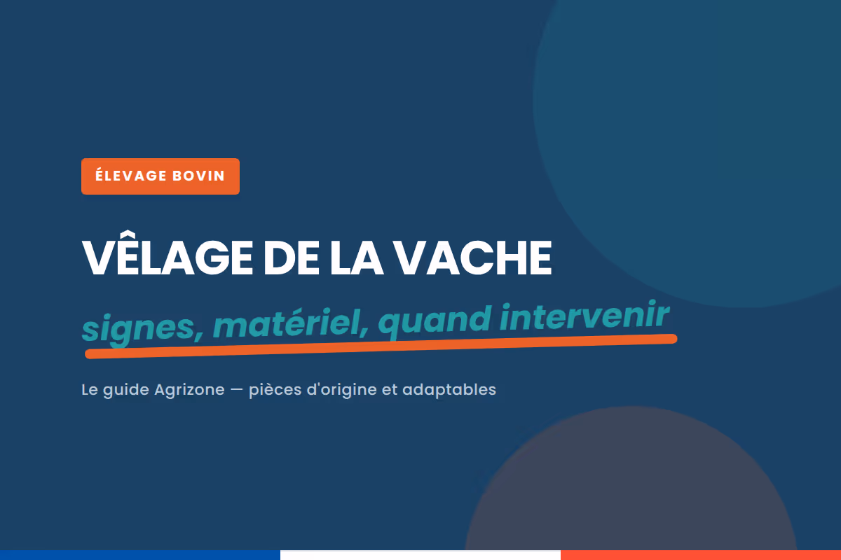 Vêlage de la vache : signes, préparation, matériel et quand intervenir