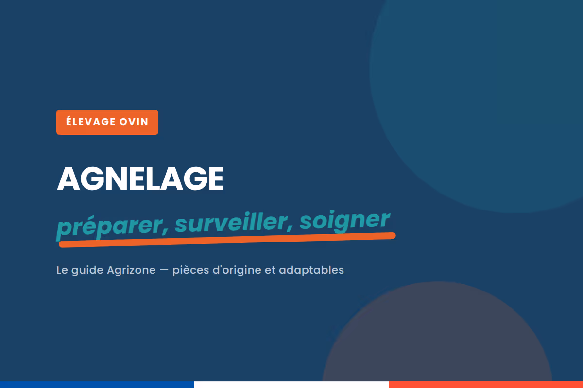Agnelage : préparer la saison, surveiller la brebis, soigner l'agneau