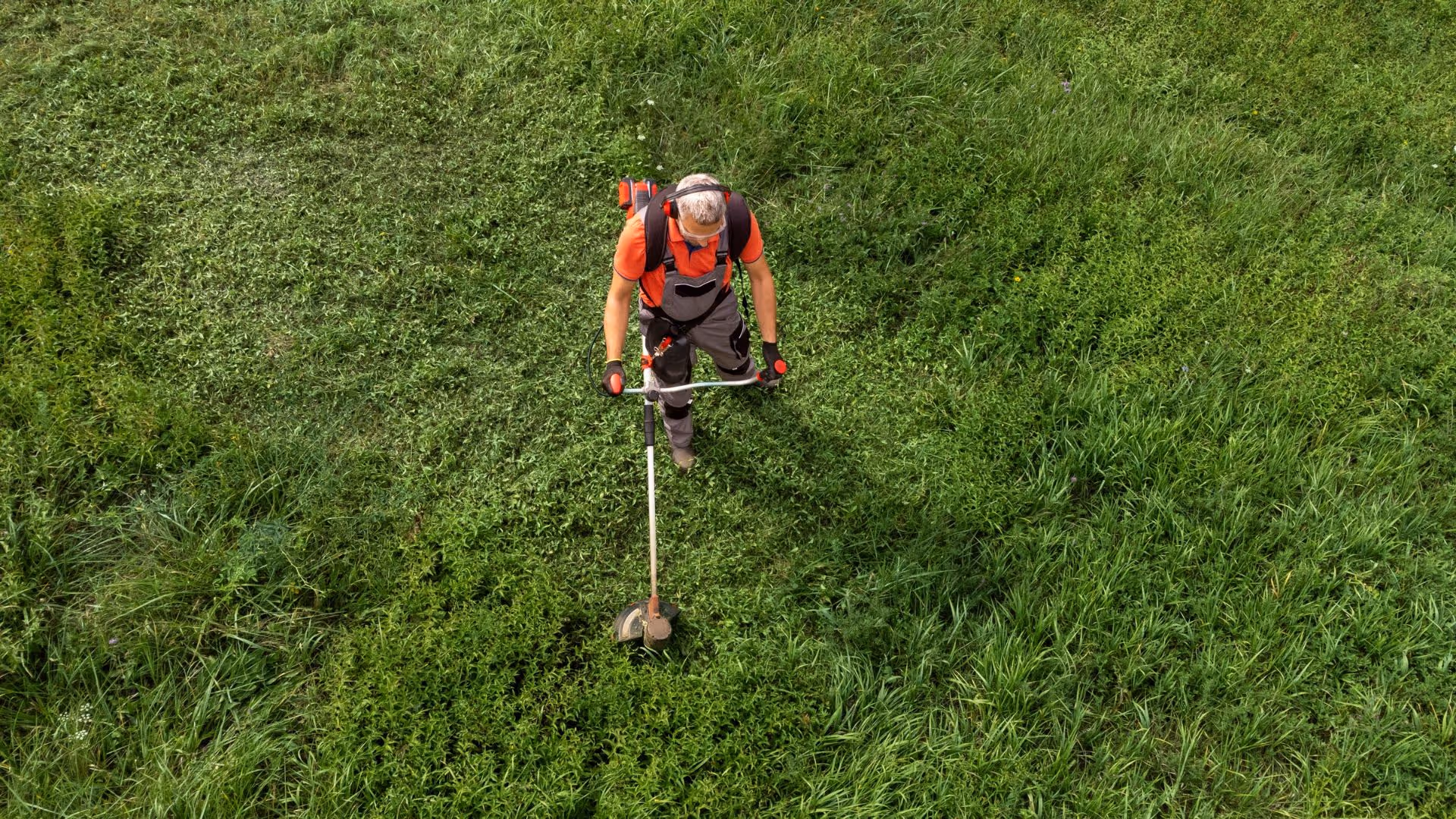 pièces de débroussailleuse agrizone 10