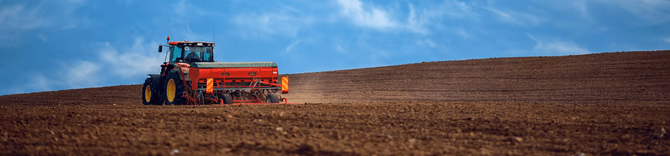 Quand et comment préparer les sols pour les semis d'automne ?