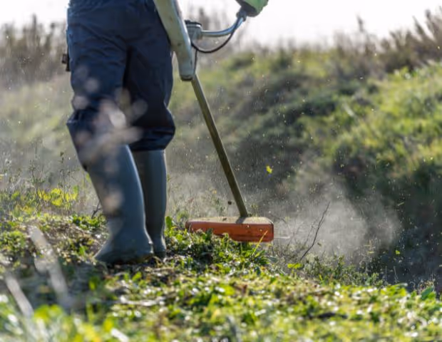 Quand changer la lame de sa débroussailleuse professionnelle ?