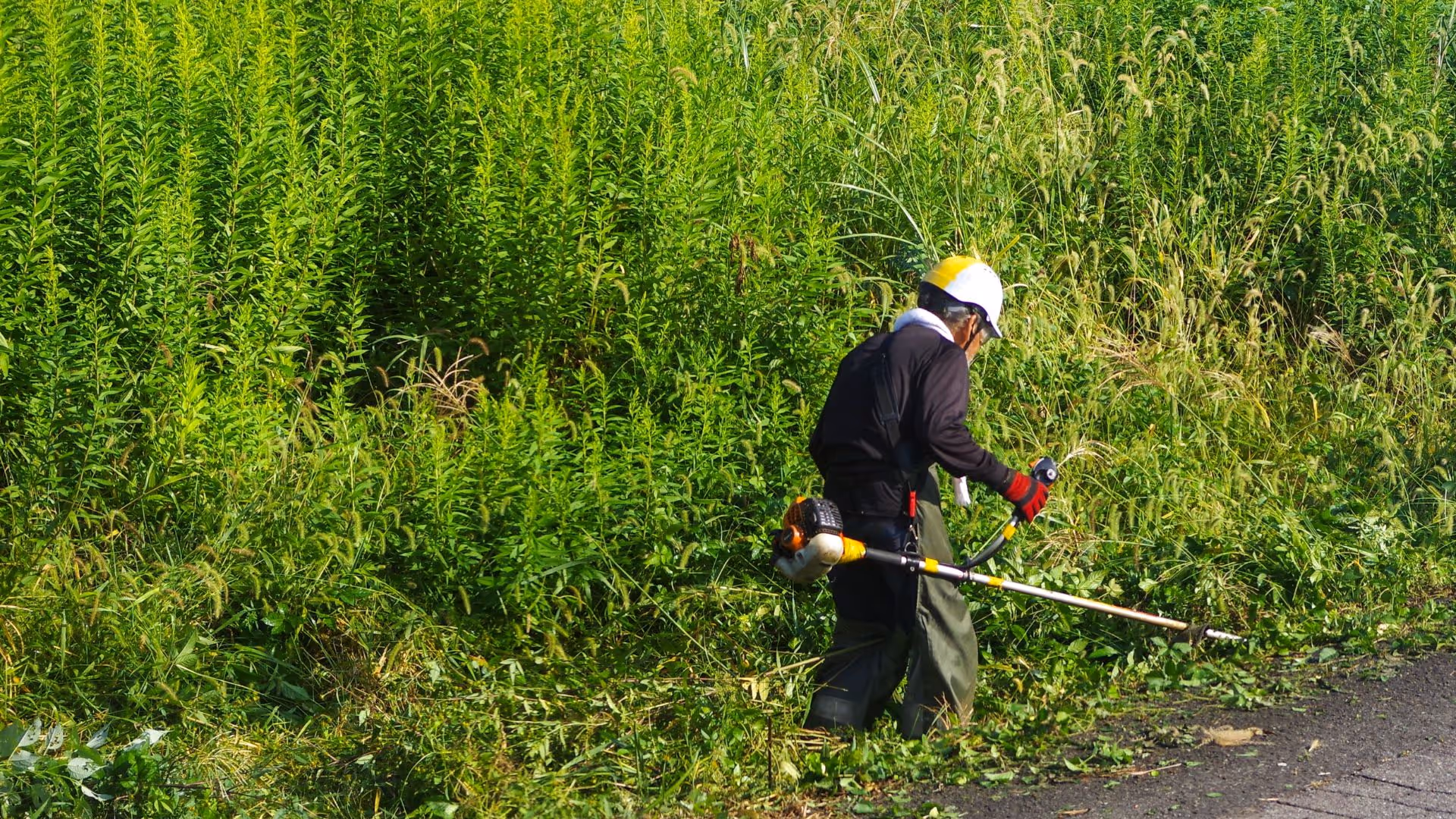 pièces de débroussailleuse agrizone 14
