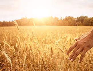 C’est l’heure du bilan des moissons 2021