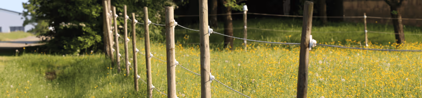 Combien coûte une clôture agricole et comment optimiser son budget ?