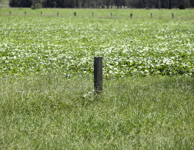 Comment installer du barbelé de façon efficace et sécurisée ?