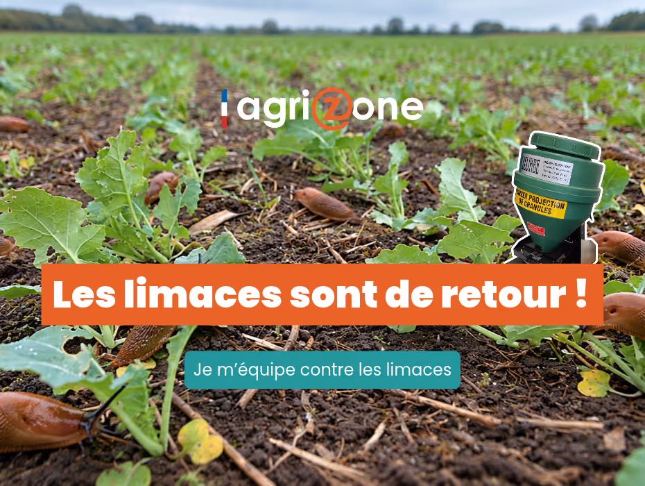 Les limaces sont de retour
