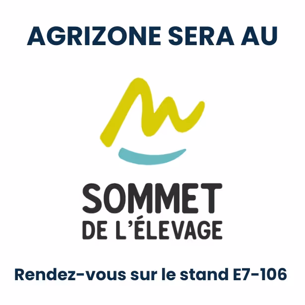 Slider pièce de carbure