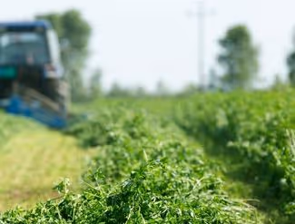 Le guide d'achat d'un gyrobroyeur