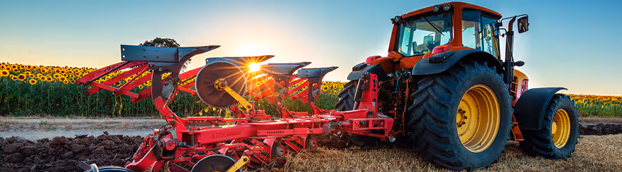Semis de Printemps : Conseils pour bien préparer le sol