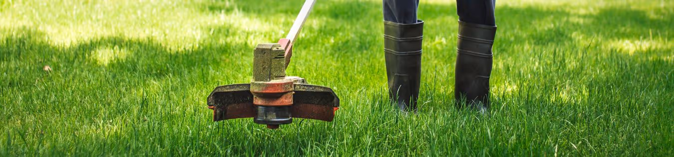 Débroussailleuse à moteur 2 temps ou 4 temps : quel est le meilleur choix pour les professionnels agricoles ?