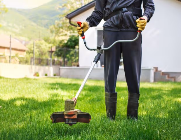 Débroussailleuse à moteur 2 temps ou 4 temps : quel est le meilleur choix pour les professionnels agricoles ?