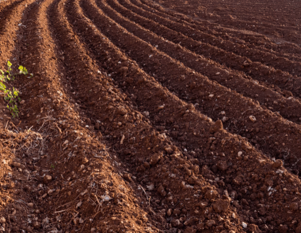 Top 5 des pièces de charrue à toujours avoir en stock à la ferme