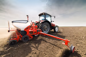 Semis de Printemps : Conseils pour bien préparer le sol