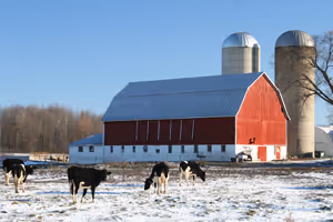 Quel type de chauffage pour votre élevage ?