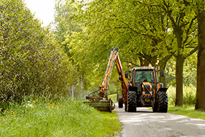Comment entretenir les bordures de champs et de fossés ?