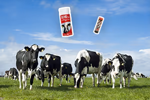 Marquage : comment bien identifier vos animaux ?