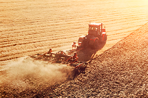 L'après moisson : préparez votre déchaumage !