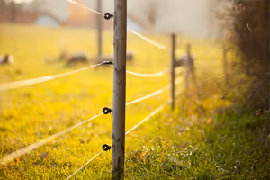 Comment installer votre clôture électrique ?