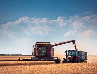 C’est le temps des moissons