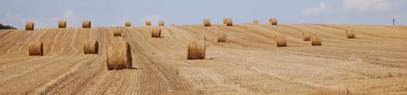 Limiter les pertes et les temps d'arrêt : l'importance du remplacement préventif des pièces de presse à balles agricole