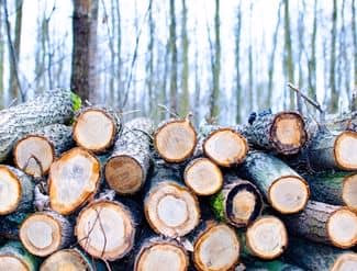 Quelle fendeuse thermique choisir ?