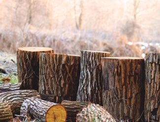 Quelle puissance faut-il pour une fendeuse à bois ?