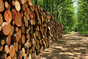Fendeuse horizontale 45T, fendeuse CMS : Matériel forestier CMS : Fendeuse  de bûche 45T horizontale bois