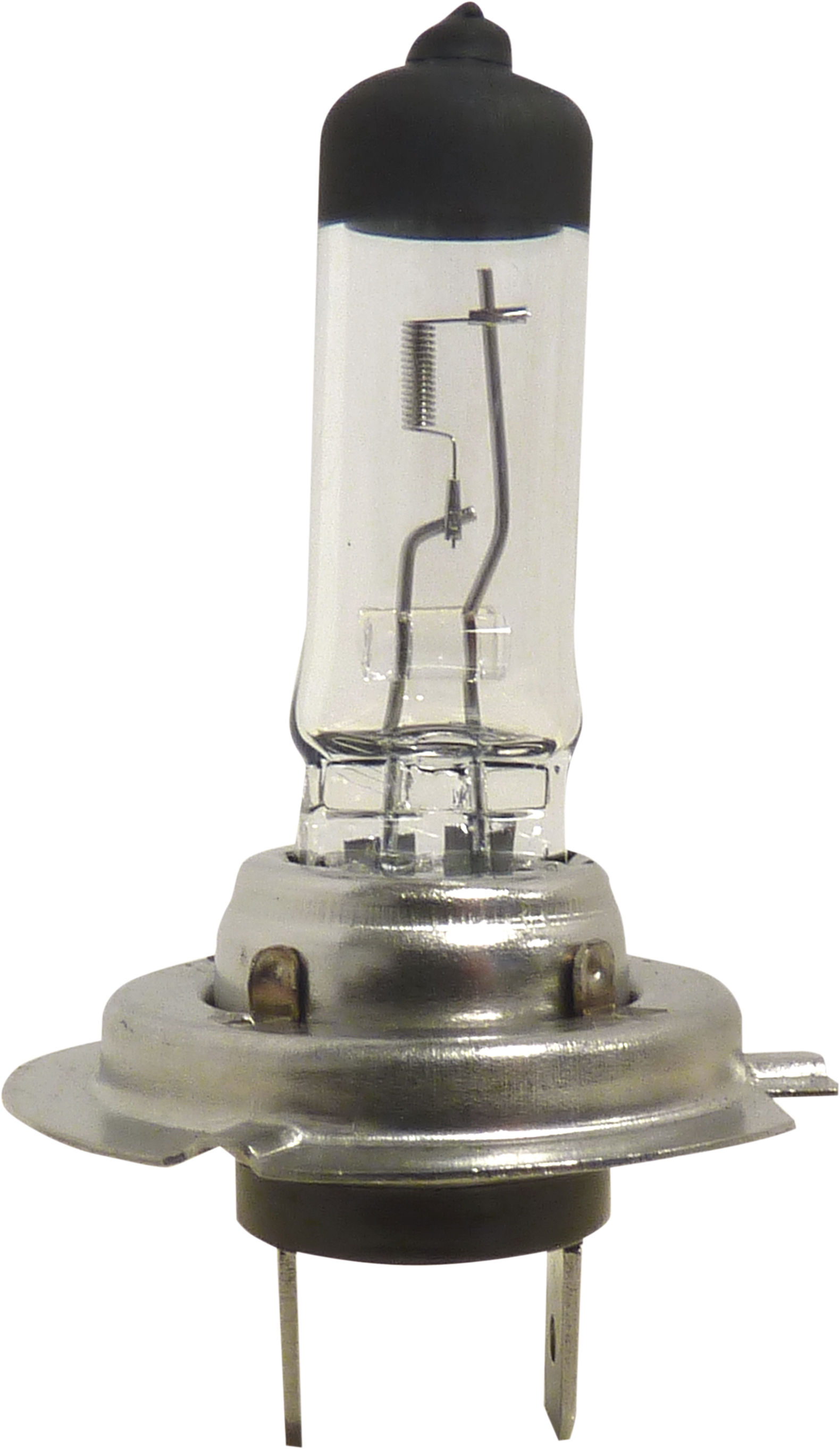 Ampoule h7 12v 55w /blister Lampes & ampoules - AGZ000449797