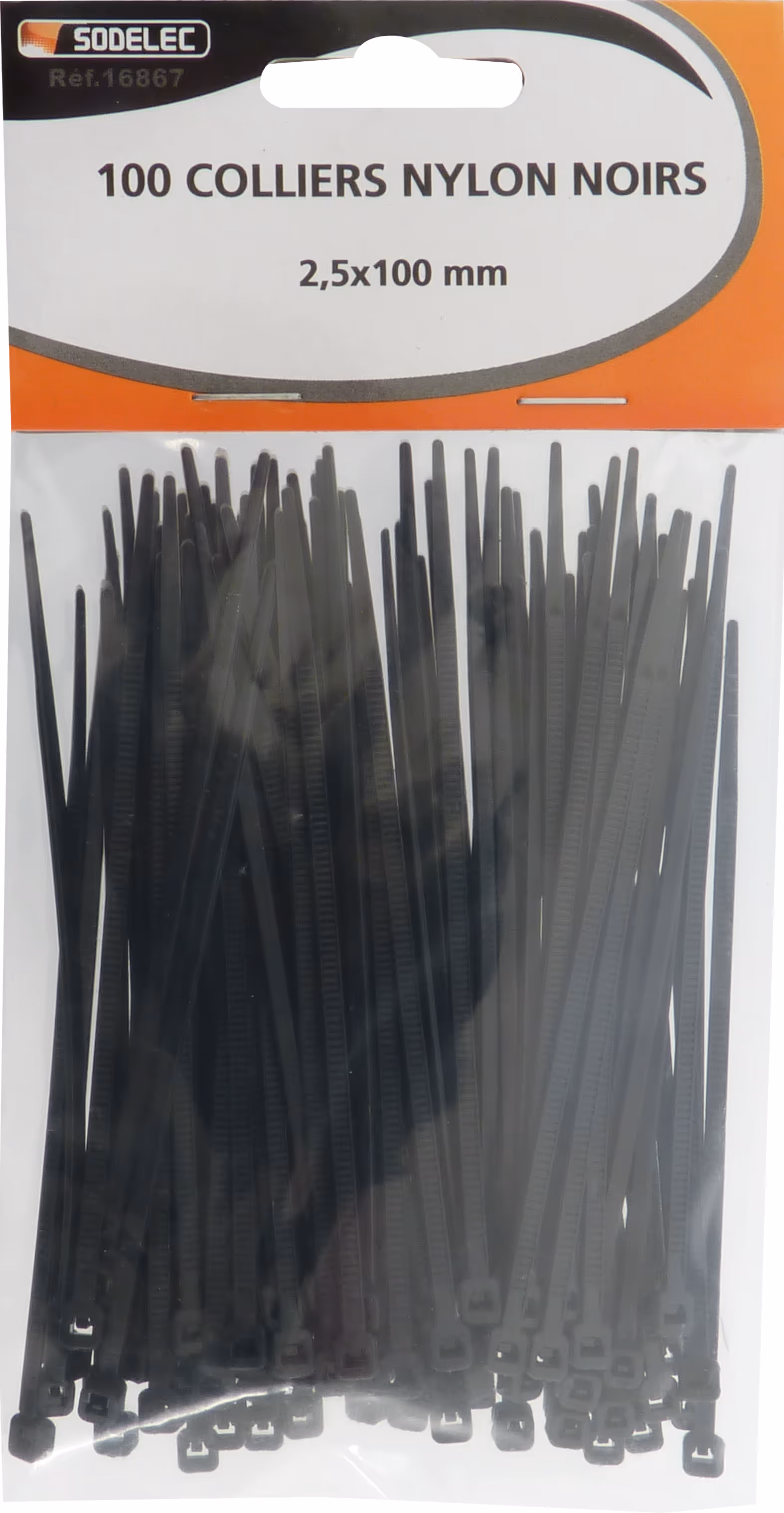 100 colliers nylon 2.5x100