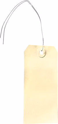 1000 ETIQUETTES AMERICAINE PAPIER BEIGE 100X51 AVEC LACET METAL