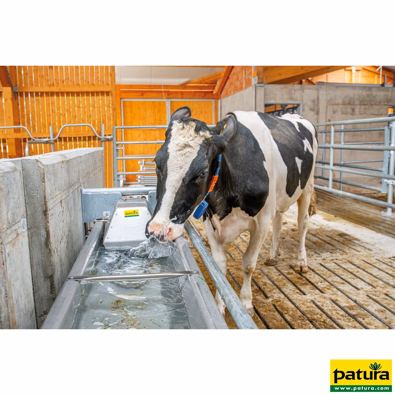 Abreuvoir basculant à cuve plate 2,0 m - contenu 75 l, montage mural Abreuvoir et console en inox