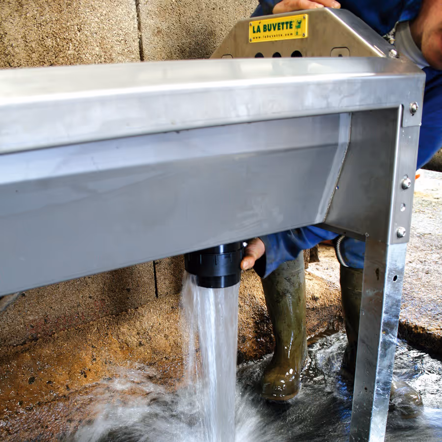 Abreuvoir inox à grande vidange GV230 pour vaches laitières |La buvette