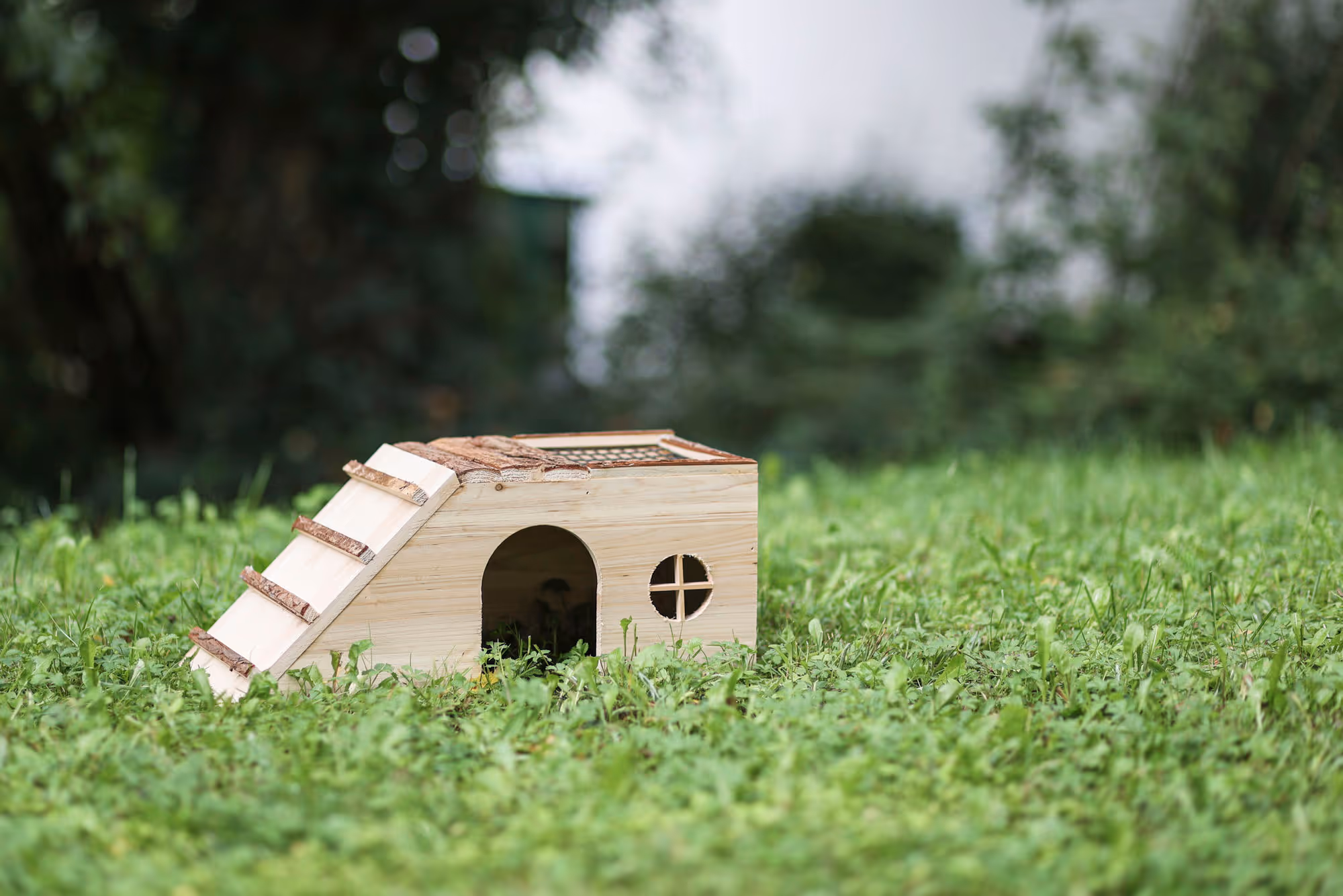 Abri pour rongeur Nature, avec rampe, 48X22X20cm