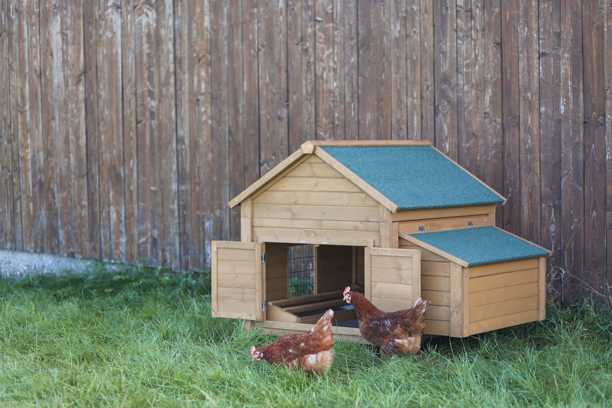 Abri pour rongeurs/poules 105X100X108cm