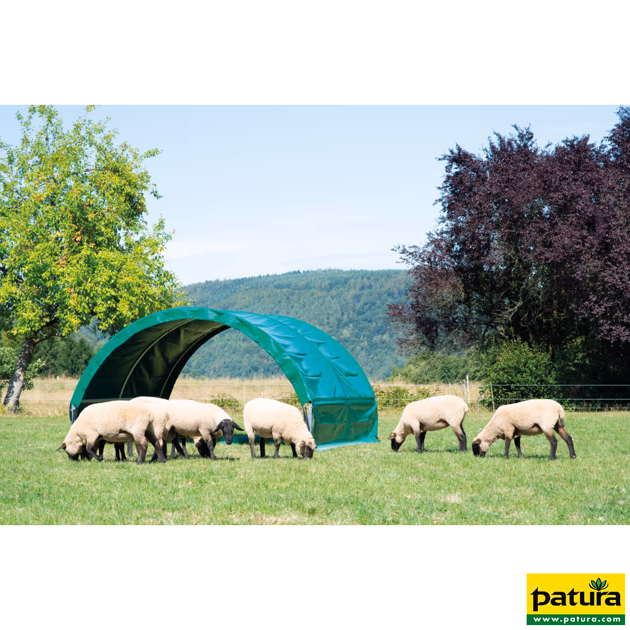 Abri-tente pour petits animaux 6 m x 3,60 m