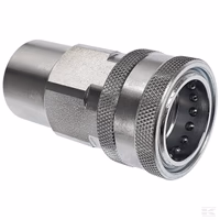 Accouplement Femelle 1  BSP