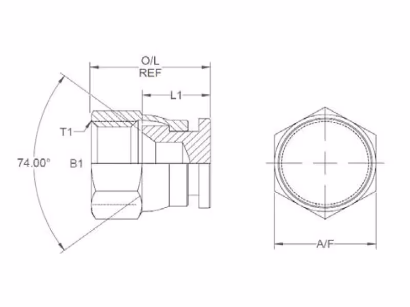 Adaptateur hydraulique 7/8'' JIC Swivel Blanking Cap - ref 10FNMTXS