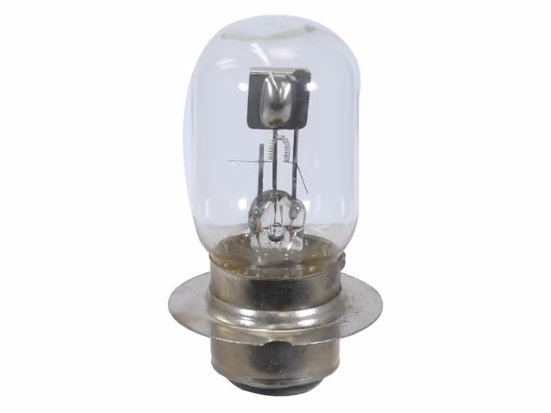 Agripak 1 pc. Ampoule 12V, 50/40W, P36d