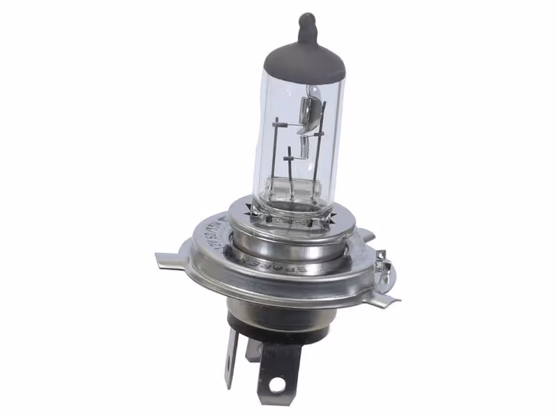 Agripak 1 pc. Ampoule 12V, 60/55W, P43t