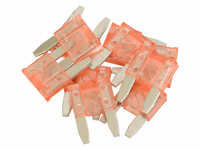 Agripak 10 pièces Mini fusibles enfichables 4.0A rose