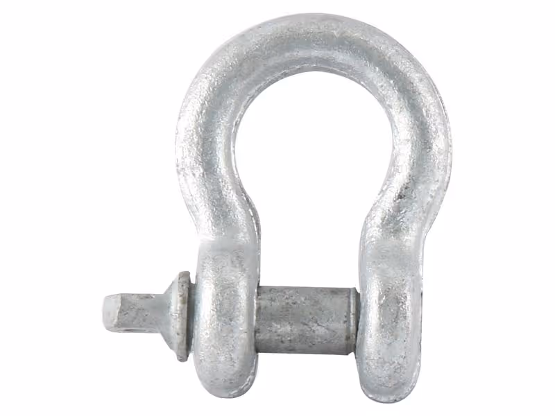 Agripak 2 pièces Manilles lyre vis 10mm