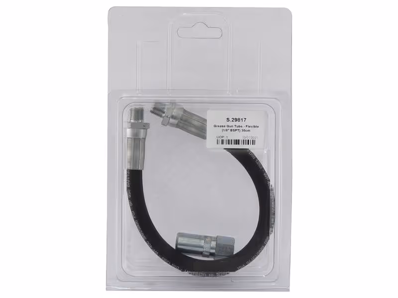 Agripak Flexible de pompe à graisse 30cm (1/8'' BSPT)