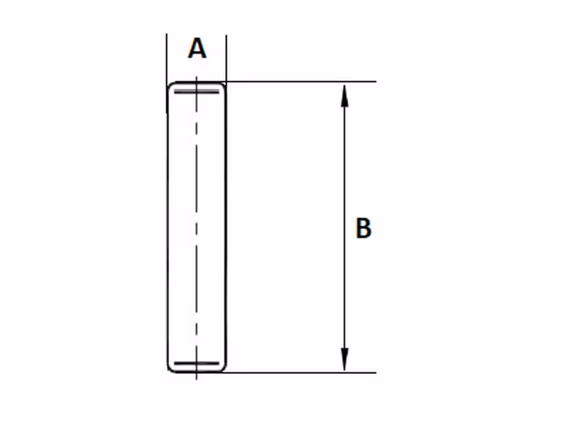 Aiguilles pour roulement (58 pièces) - adaptable sur tracteurs Ford - ref CFPN4013A