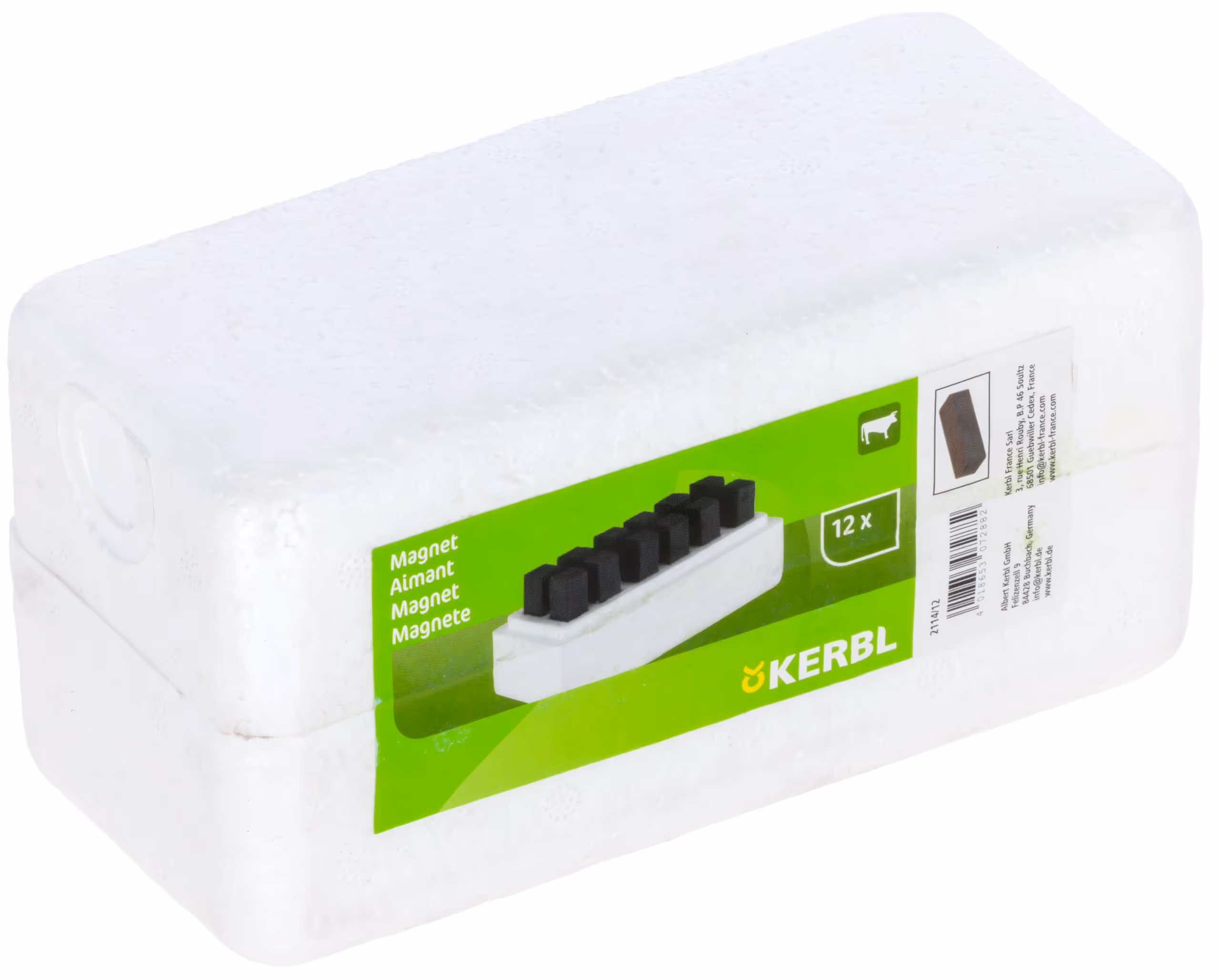 Aimant 12pcs
