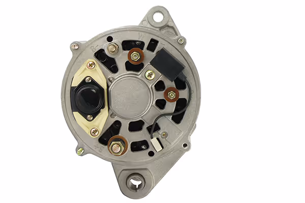 Alternateur 12V 55A - Fiat Agri