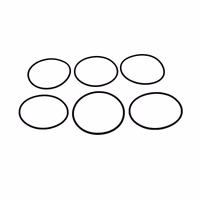 Ambic Vision16 Joints toriques pour détecteur (x6)