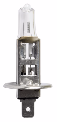 Ampoule 12v 55w H1 halogène | Universel