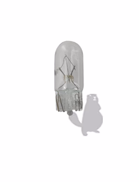 AMPOULE 12V