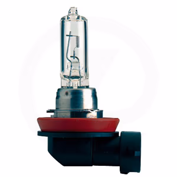 Ampoule H11 12V 55W PGJ 19-2